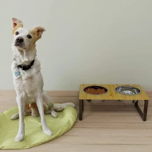 Comedouro de Madeira Estilo Industrial Duplo para Cachorro Pets Médio